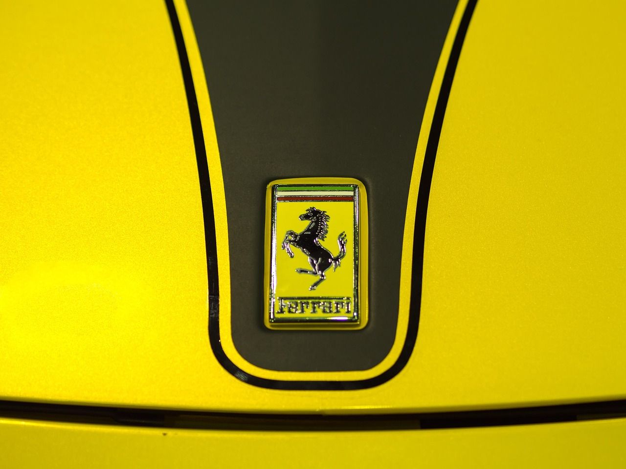 découvrez notre marque de sport alliant performance, style et innovation pour tous les passionnés d'activités physiques.