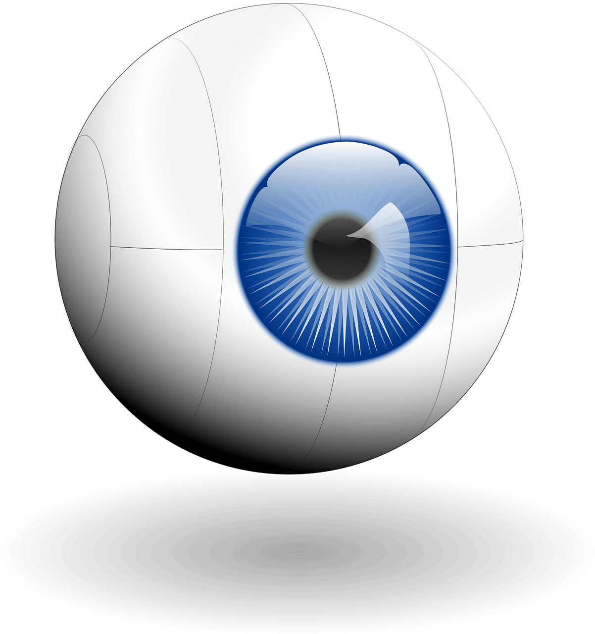 découvrez comment améliorer la visibilité de votre site web, gagner en notoriété en ligne et attirer plus de visiteurs grâce à des conseils et stratégies efficaces.
