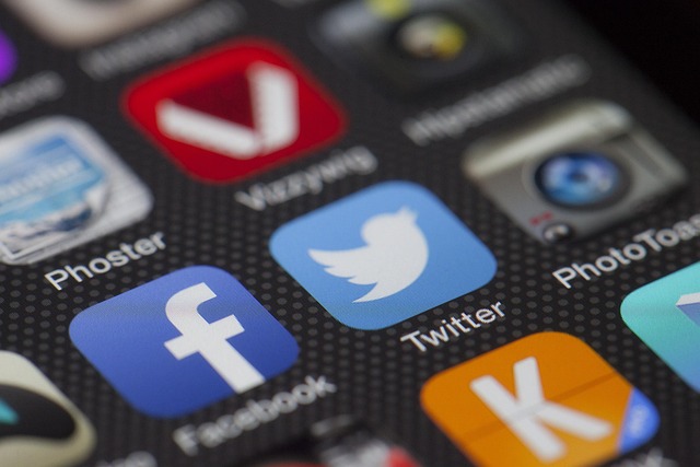 SEO et réseaux sociaux : un duo gagnant pour votre visibilité
