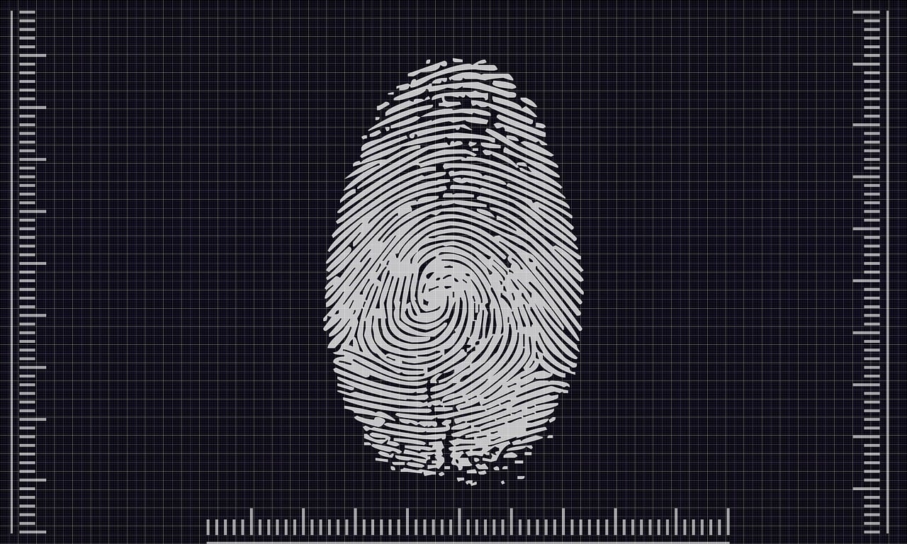 Comment s’identifier dans les AI Overviews : Analyse chiffrée révélatrice