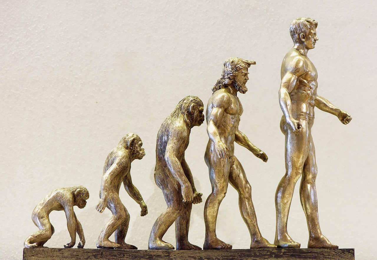 Comment le comité d’entreprise GMF a-t-il évolué au fil du temps ?
