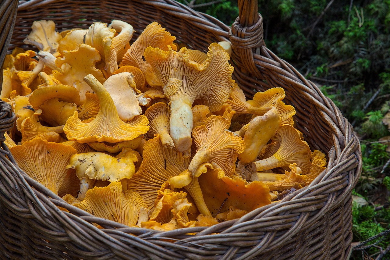 Pourquoi offrir un panier gourmand à un comité d’entreprise pour Noël en 2025 ?