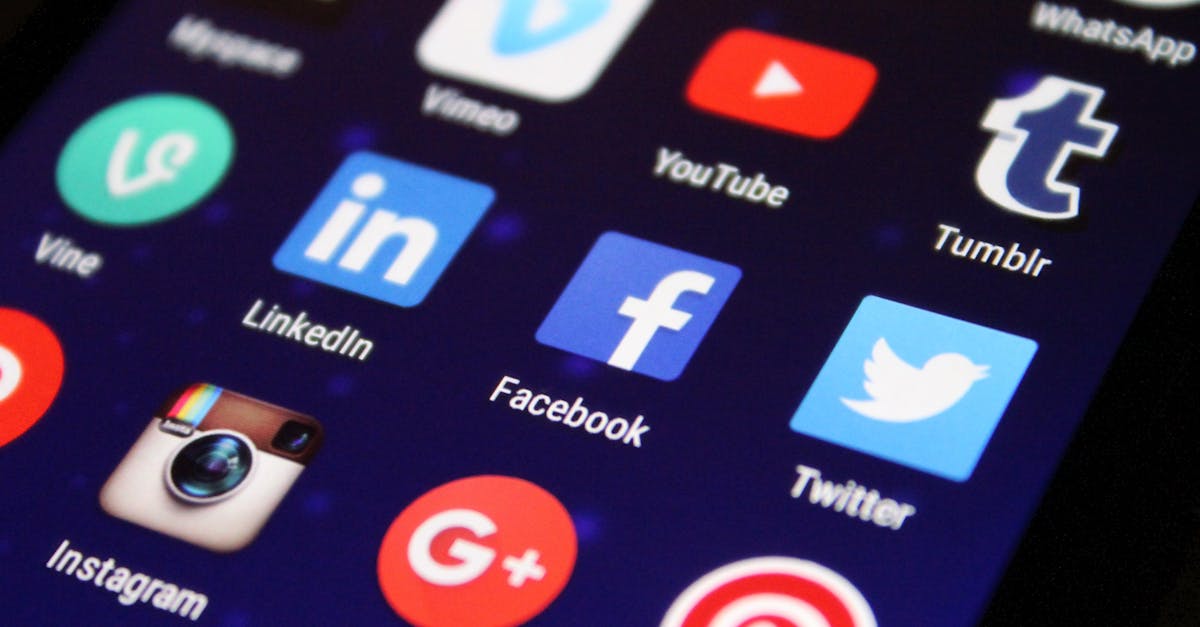 Plateformes de médias sociaux : comment optimiser votre présence en ligne