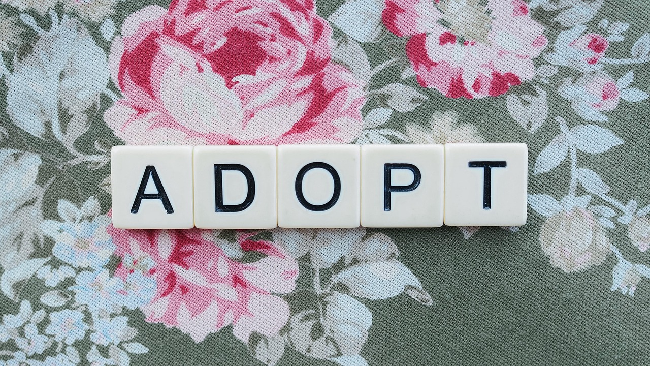 découverte du programme canadien d’adoption du numérique