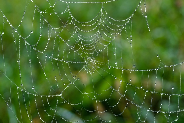 Comment appelle-t-on l’image d’une personne reflétée par le web ?