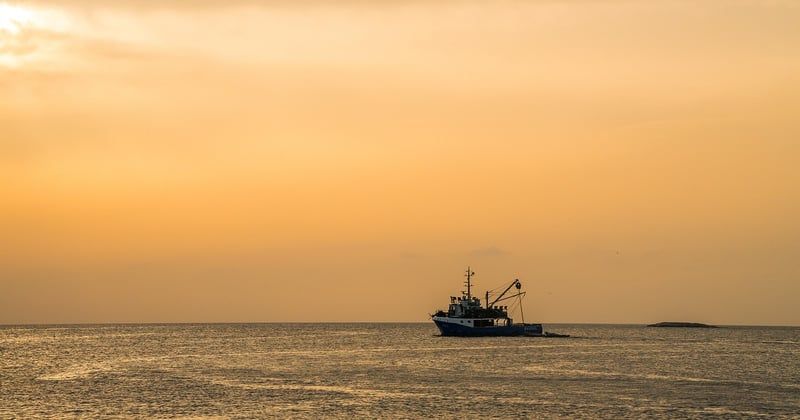 Veille concurrentielle : 7 stratégies pour devancer vos rivaux sans y passer vos nuits