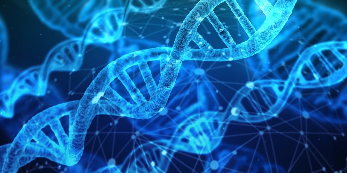 Rencontre avec Patrick Leung, CTO de Faro Health : Plongée au cœur de l’innovation médicale