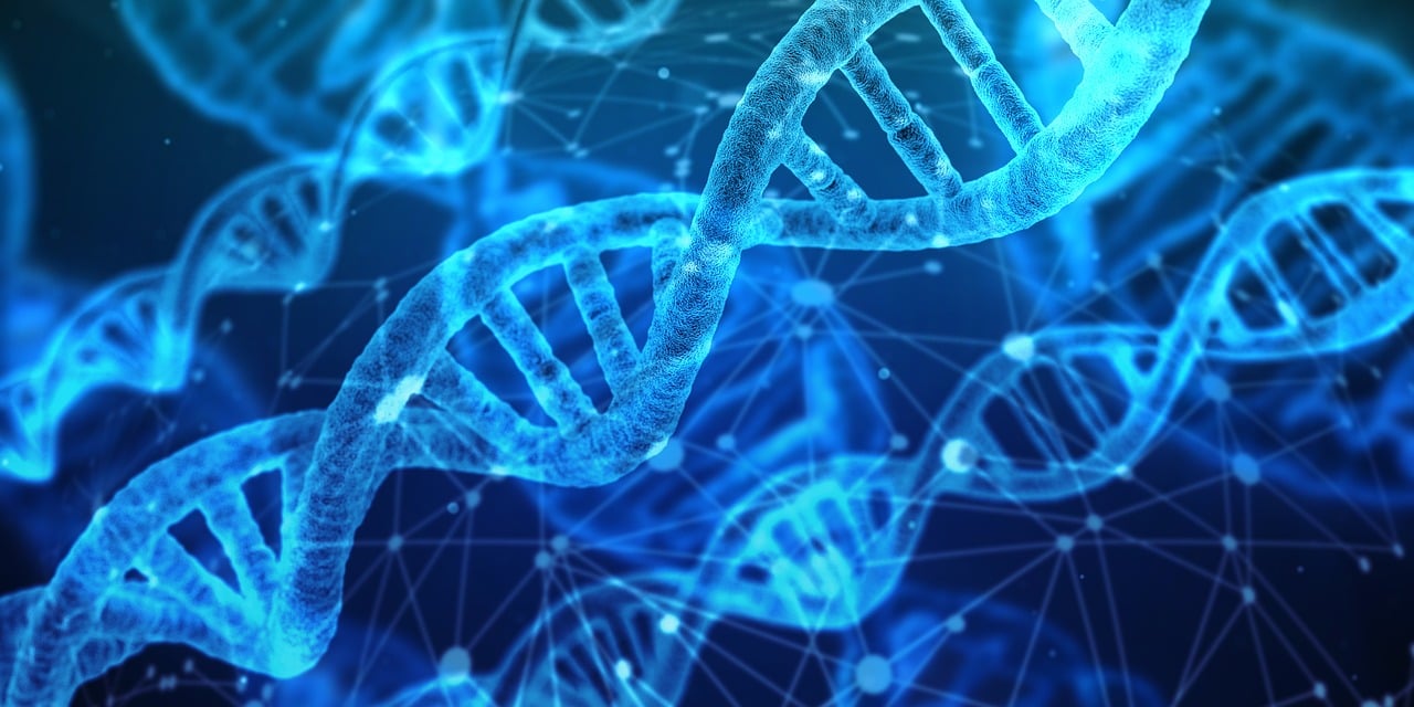 Rencontre avec Patrick Leung, CTO de Faro Health : Plongée au cœur de l’innovation médicale