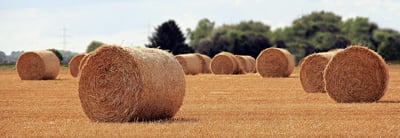 auditeur légal : rôle, missions et importance pour les entreprises en 2025