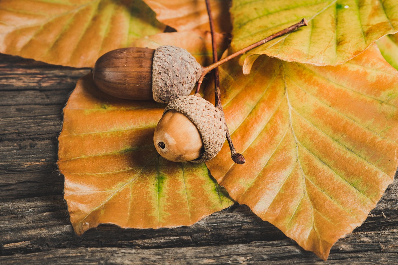 découvrez comment la saisonnalité influence divers aspects de la vie, des tendances commerciales aux comportements des consommateurs. apprenez à adapter vos stratégies pour tirer parti des variations saisonnières et maximiser votre succès tout au long de l'année.