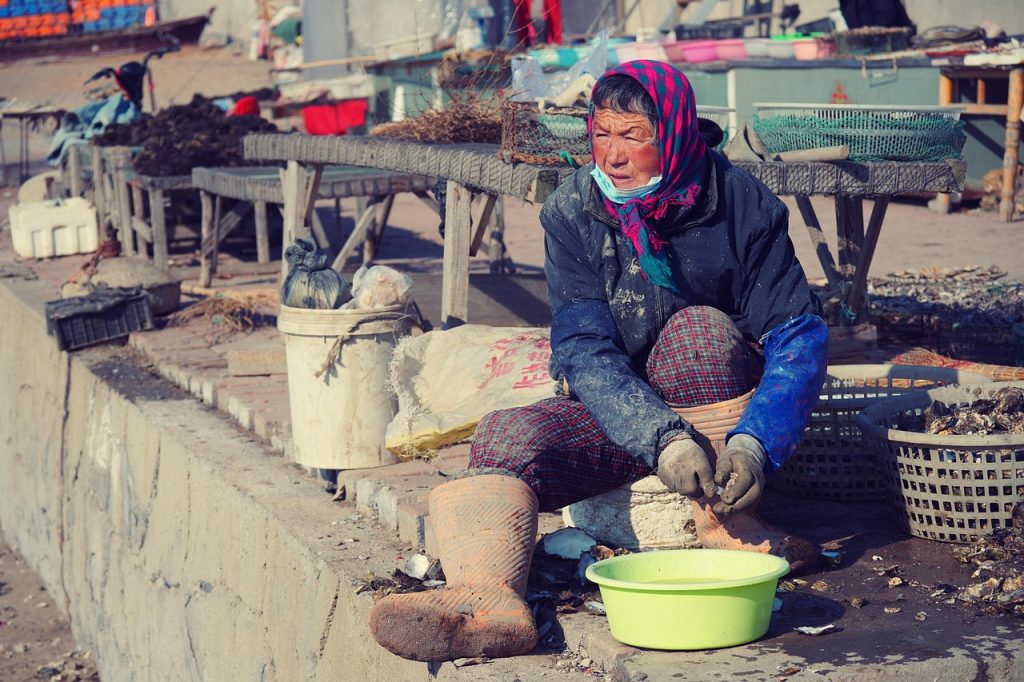 d&eacute;couvrez l'univers de l'aquaculture, une pratique durable et innovante permettant l'&eacute;levage de poissons, crustac&eacute;s et plantes aquatiques. apprenez comment cette m&eacute;thode contribue &agrave; la s&eacute;curit&eacute; alimentaire et &agrave; la pr&eacute;servation des &eacute;cosyst&egrave;mes aquatiques.