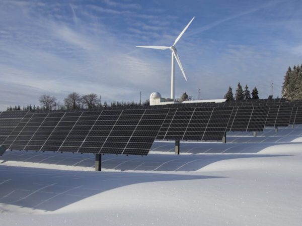 découvrez comment la durabilité façonne notre avenir. explorez des pratiques écoresponsables, des innovations vertes et des solutions pour un monde plus durable. engagez-vous pour la planète !