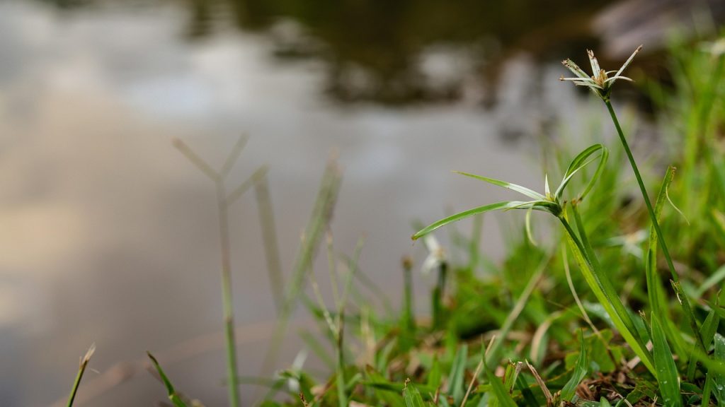 découvrez les dernières tendances et stratégies en relations publiques digitales. apprenez à optimiser votre visibilité en ligne, à gérer votre réputation sur les réseaux sociaux et à engager votre audience de manière efficace grâce au digital pr.