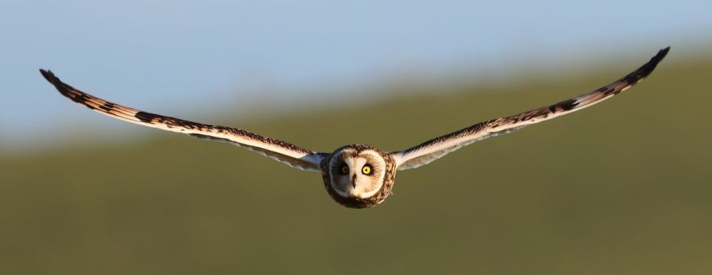 d&eacute;couvrez les meilleures pratiques en mati&egrave;re de seo pour optimiser votre site web, am&eacute;liorer votre visibilit&eacute; sur les moteurs de recherche et attirer plus de visiteurs gr&acirc;ce &agrave; des techniques efficaces et des strat&eacute;gies adapt&eacute;es.