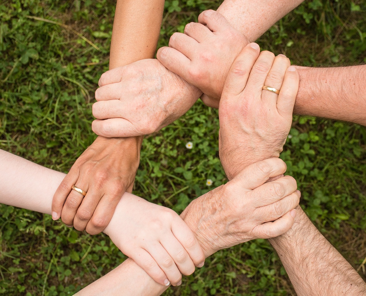 découvrez l'importance de la diversité dans notre société moderne. explorez comment la diversité enrichit nos vies, favorise l'innovation et crée des environnements inclusifs. plongez dans des réflexions sur l'égalité, l'inclusion et les bénéfices d'une communauté diversifiée.