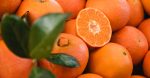 découvrez l'importance de la segmentation de marché pour cibler efficacement vos clients. apprenez à diviser votre audience en segments distincts afin d'adapter vos stratégies marketing et maximiser vos résultats commerciaux.