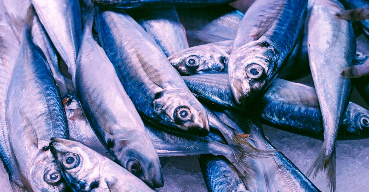 découvrez l'importance de la segmentation de marché dans votre stratégie marketing. apprenez à identifier et à cibler des segments spécifiques pour maximiser l'impact de vos campagnes et améliorer la satisfaction client.