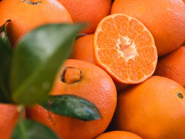 découvrez l'importance de la segmentation de marché pour cibler efficacement vos clients. apprenez à diviser votre audience en segments distincts afin d'adapter vos stratégies marketing et maximiser vos résultats commerciaux.
