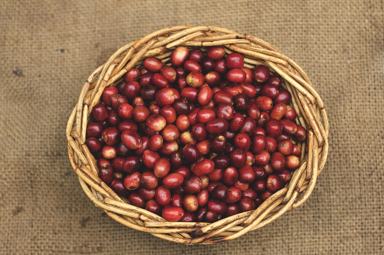 découvrez nos paniers de noël garnis de délicieuses gourmandises et cadeaux festifs, parfaits pour faire plaisir à vos proches pendant les fêtes de fin d'année.