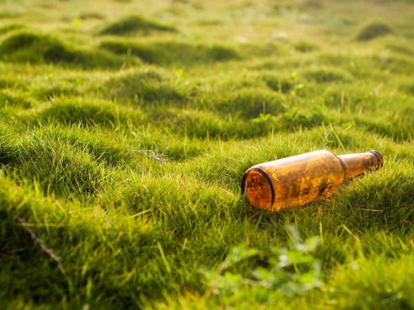 découvrez l'impact environnemental de nos actions quotidiennes, les principaux défis écologiques actuels et des solutions concrètes pour préserver la planète.