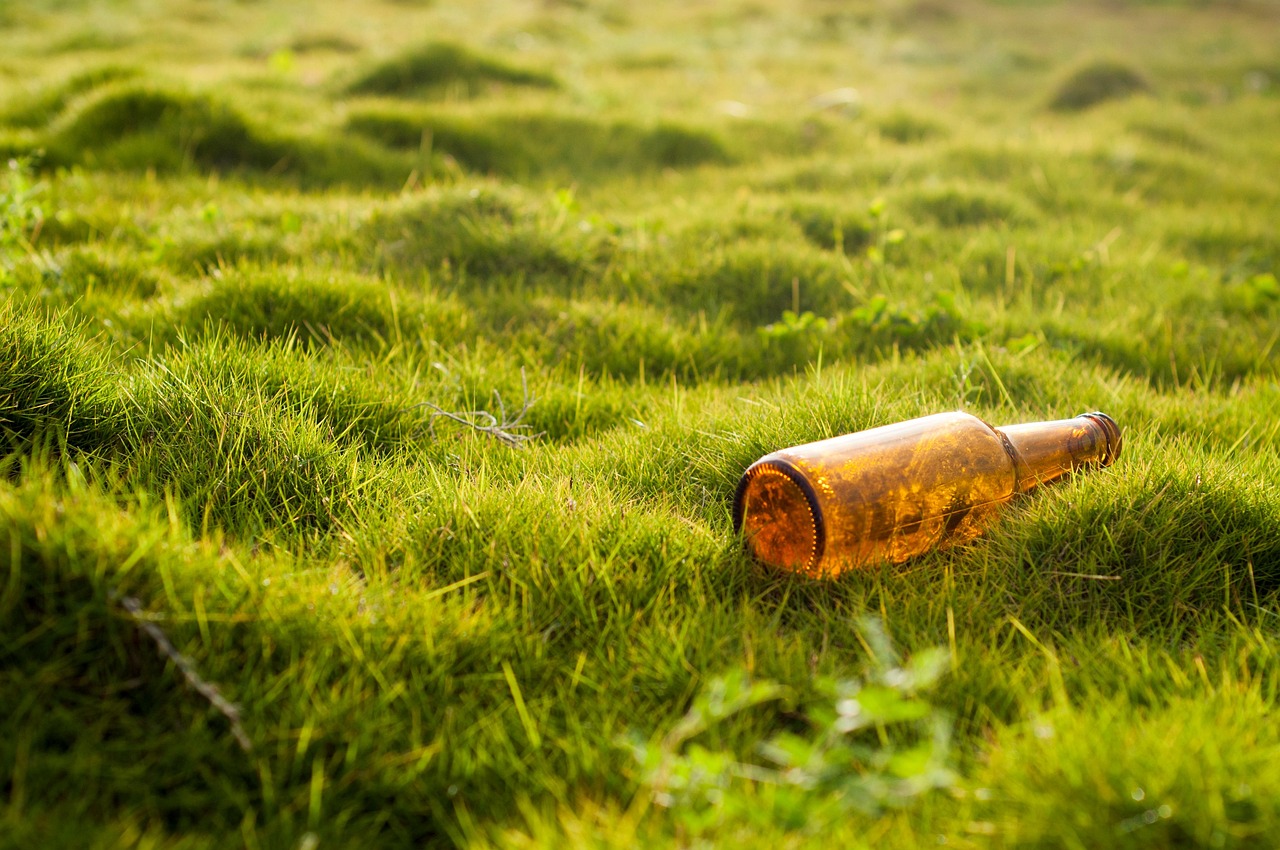 découvrez l'impact environnemental de nos actions quotidiennes, les principaux défis écologiques actuels et des solutions concrètes pour préserver la planète.