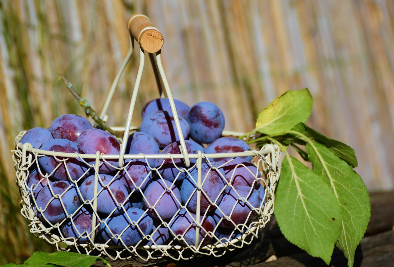 découvrez nos paniers gourmets raffinés, composés de produits artisanaux et de saveurs authentiques, parfaits pour offrir ou se faire plaisir en toute occasion.
