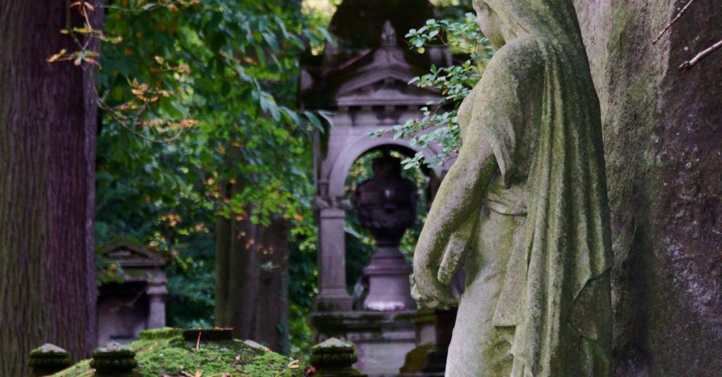 découvrez comment améliorer la performance de votre site web grâce à l'optimisation des images. apprenez des techniques essentielles pour réduire le poids des fichiers tout en préservant la qualité visuelle, afin d'accélérer le chargement des pages et d'améliorer l'expérience utilisateur.