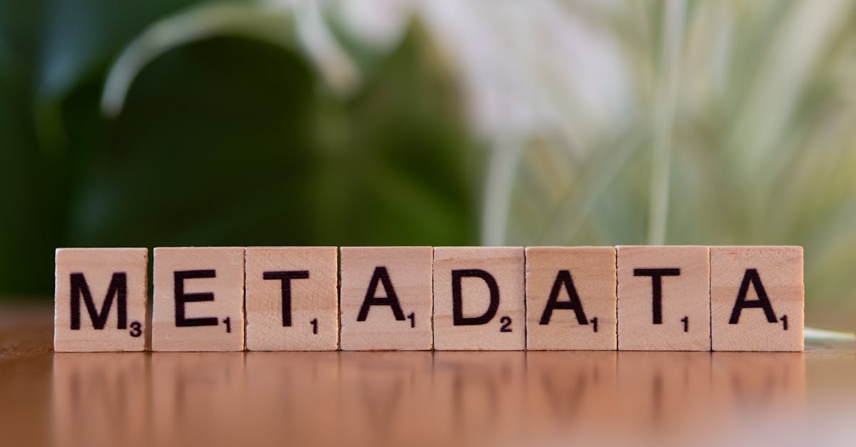 découvrez l'importance de la metadata : des informations qui décrivent et structurent vos données pour une meilleure organisation, une recherche efficace et une exploitation optimale de l'information.