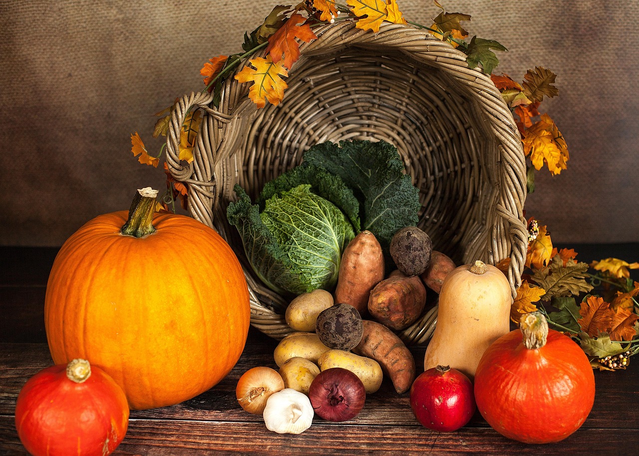 découvrez nos paniers cadeaux bio, composés de produits naturels, gourmands et artisanaux. offrez un présent unique et écoresponsable pour faire plaisir à vos proches lors de toutes les occasions.
