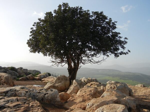 découvrez singles' day, la plus grande journée de promotions au monde, idéale pour profiter de super offres shopping en solo et faire de bonnes affaires en ligne !