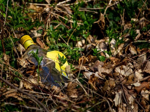 découvrez le développement durable : ses principes, ses enjeux et des solutions concrètes pour un avenir respectueux de l'environnement, de l'économie et de la société.