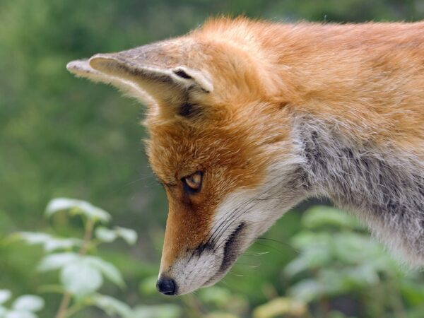 découvrez l'importance de rester vigilant avec notre guide sur l'attention, pour mieux comprendre comment protéger votre sécurité et votre bien-être au quotidien.