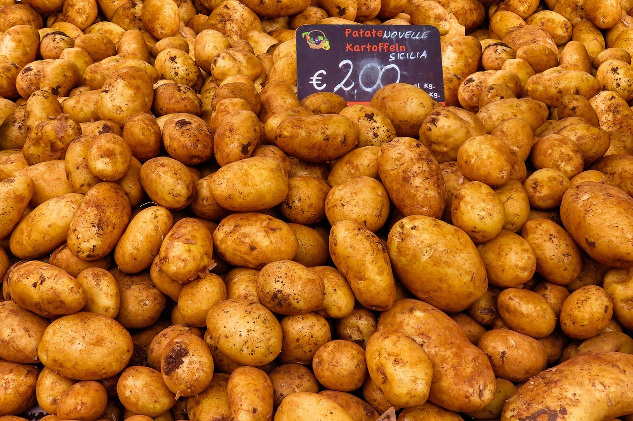 découvrez l'évolution du marché des services seo : tendances, croissance et opportunités pour les entreprises souhaitant améliorer leur visibilité en ligne en 2024.