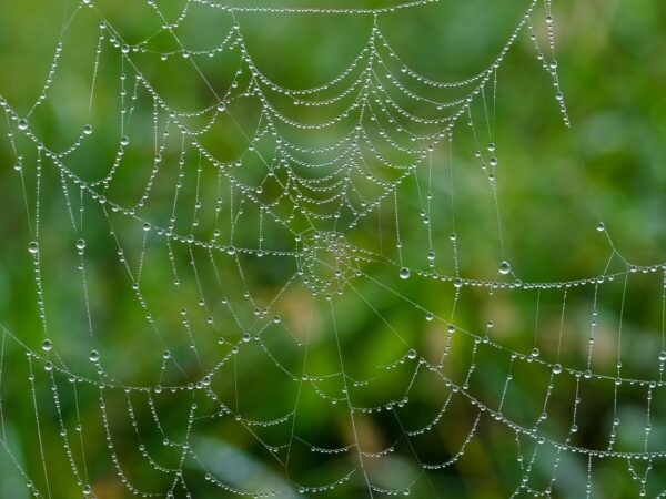 services professionnels de création de sites web à longueuil pour booster votre présence en ligne avec des designs modernes et adaptés à vos besoins.