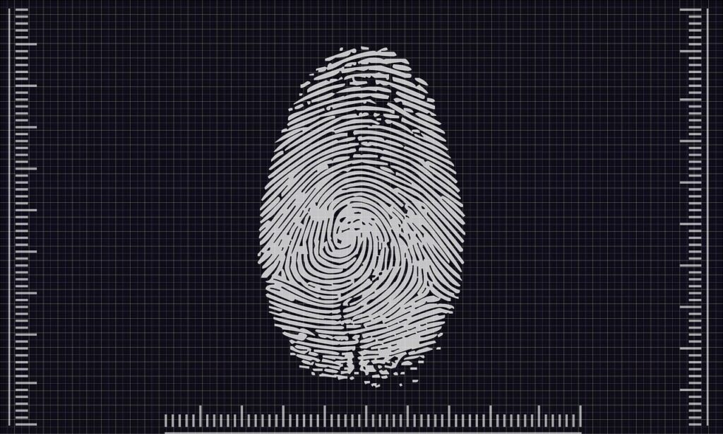 découvrez tout ce qu'il faut savoir sur l'identification, ses méthodes et son importance dans divers domaines.