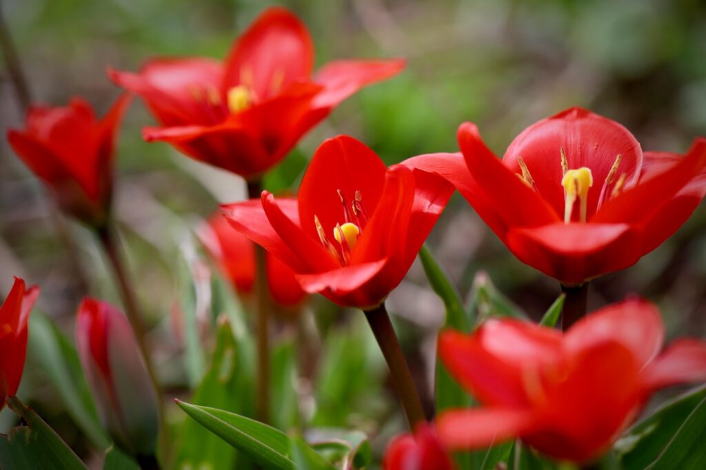 d&eacute;couvrez les avantages du multi-cloud pour optimiser la gestion de vos infrastructures informatiques en combinant plusieurs services cloud pour plus de flexibilit&eacute;, de s&eacute;curit&eacute; et de performance.