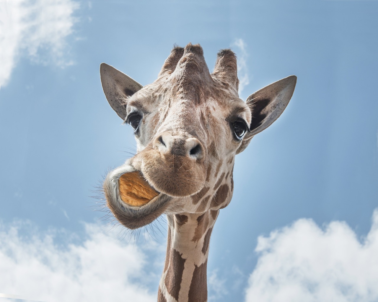 d&eacute;couvrez tout sur la manipulation : techniques, impacts, et conseils pour la reconna&icirc;tre et s'en prot&eacute;ger efficacement.